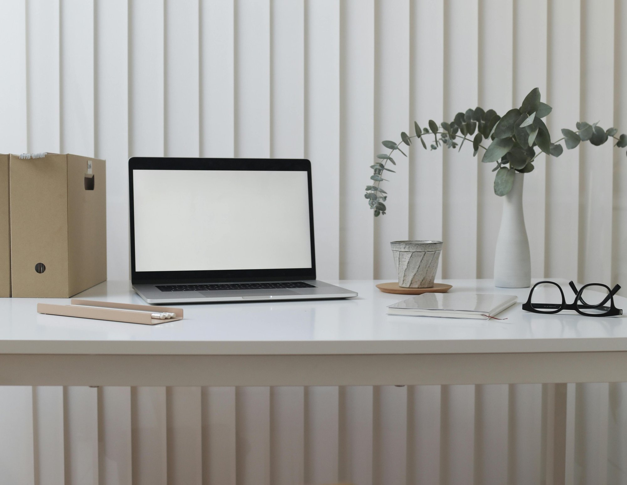 clean organized desk laptop plant daylight_small